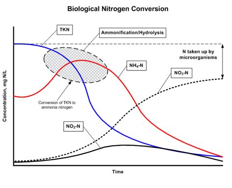 total kjeldahl nitrogen|total nitrogen in wastewater.